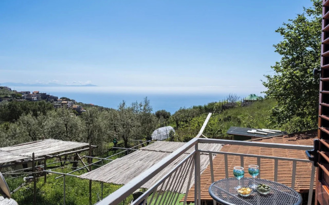 Sky Blue Guesthouse