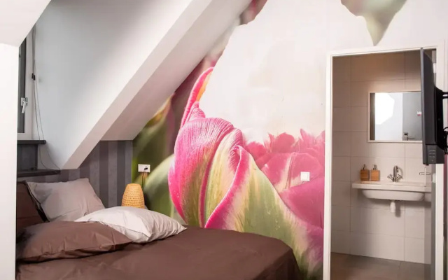 House of Tulips