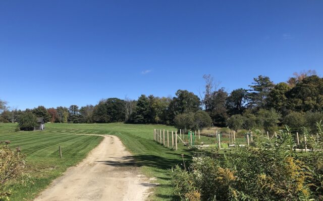 Gedney Farm