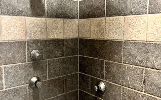 Nesselrod on the New