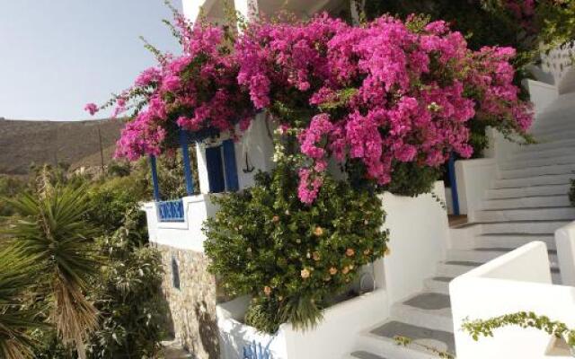 Butterfly View House