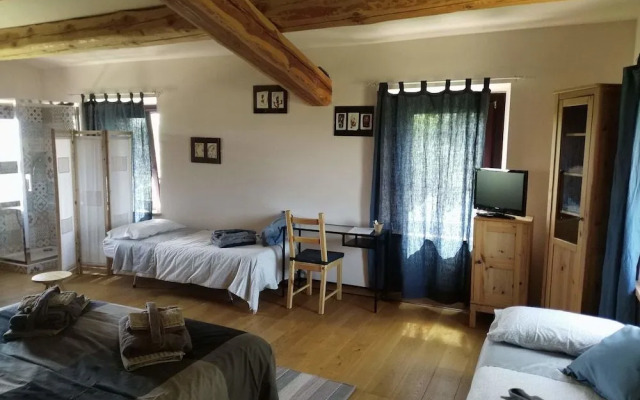 Il Gallo Silvestre - Bed&Books