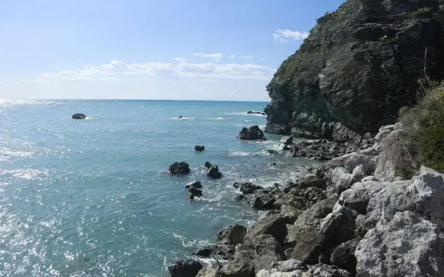 Vigo Resort
