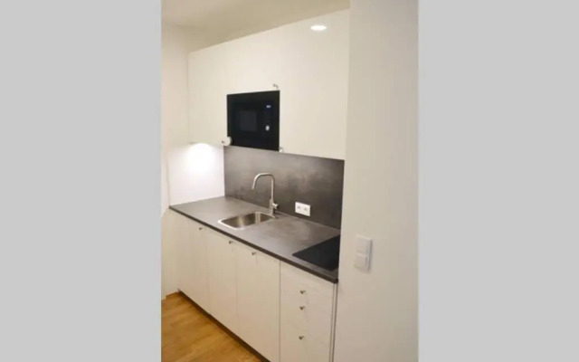 Luxury Design Apartment