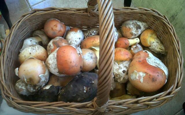 Apartamentos La Dama Azul