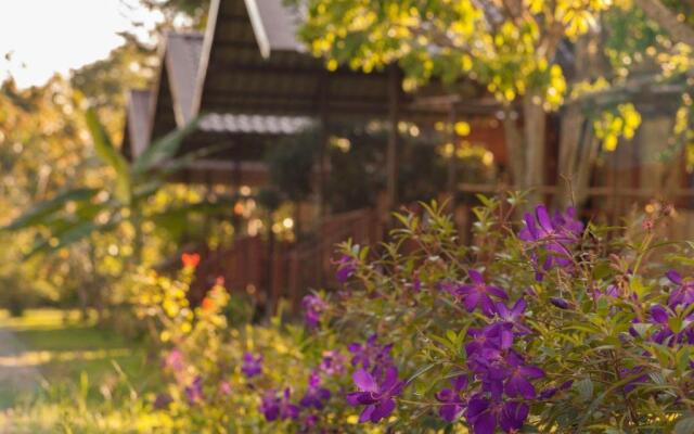 Chiang Dao Reset