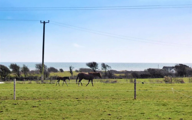Coninbeg Holiday Cottage