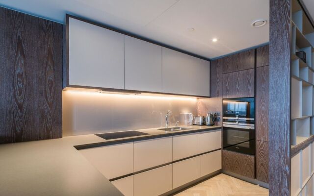 Luxury Apartment near Battersea Power Station