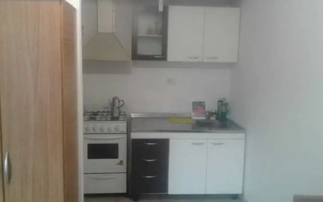 Central Apartment Mendoza City