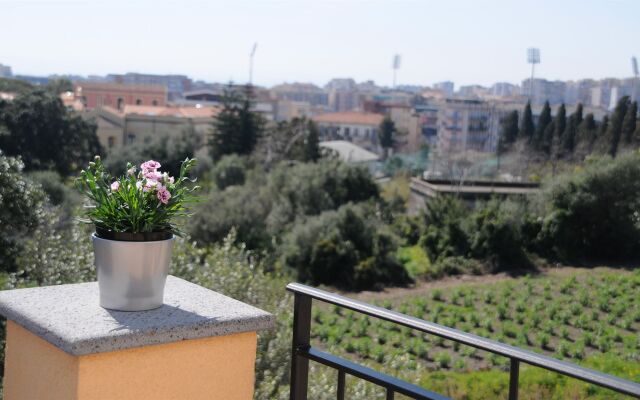La Circumetnea B&B