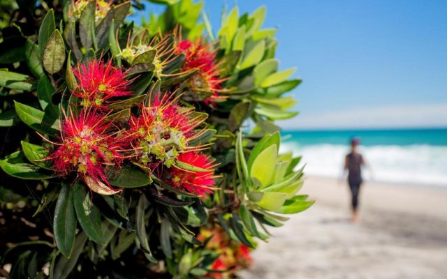 Tasman Holiday Parks – Beachaven