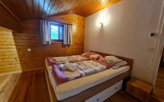 Pet-friendly Apartment in Bad Kleinkirchheim