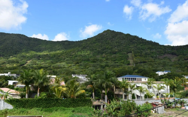 Mountain View Apartment