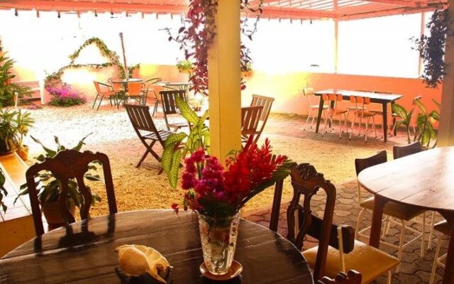 Le Cactus Guesthouse