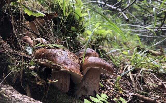 Lago Maggiore Holiday House With Panoramic Views