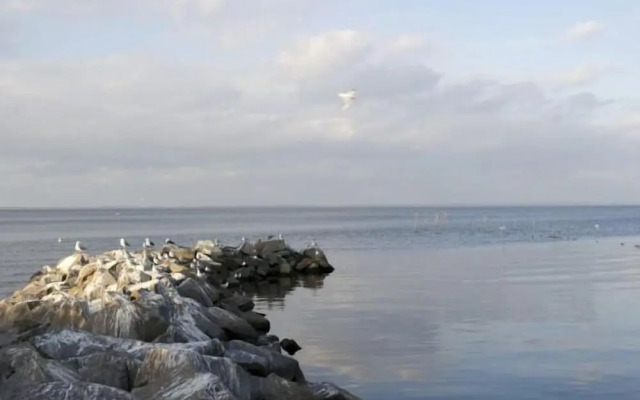 Lagunenstadt Ueckermünde