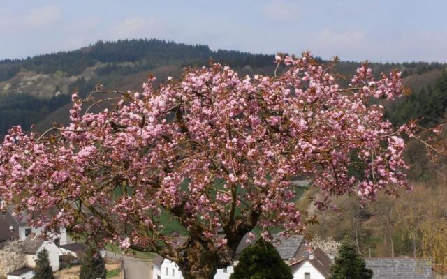 Ferienwohnung-in-schoenster-Lage