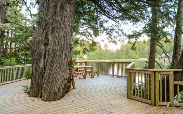 Big Tree Waterfront Vacation Rentals
