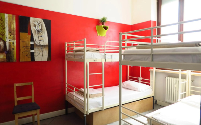 Koala Hostel