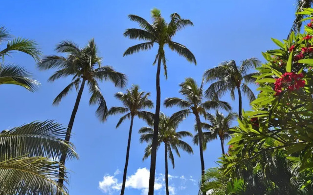 Maui Kaanapali Villas MKV-B242 by KBM