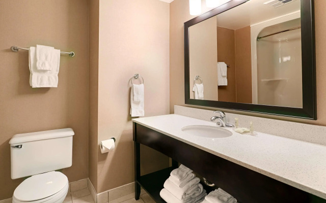 Best Western Swan Castle Inn