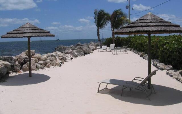 Licensed Mgr - 3/3.5 Modern Villa - Key Largo'S Premier Oceanfront Resort And Marina!