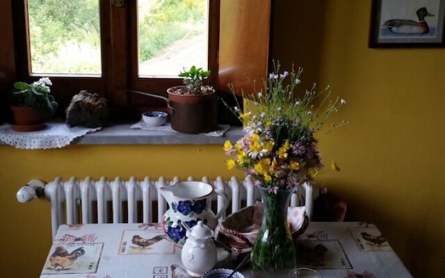 Risveglio Naturale