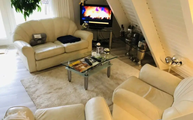 Frog Prince Modern Retreat