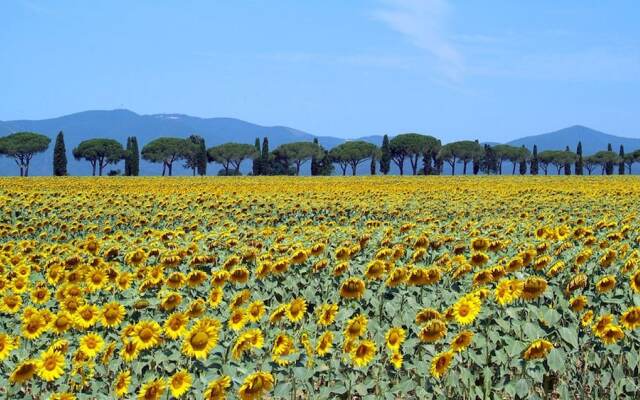 Agriturismo Podere Isonzo