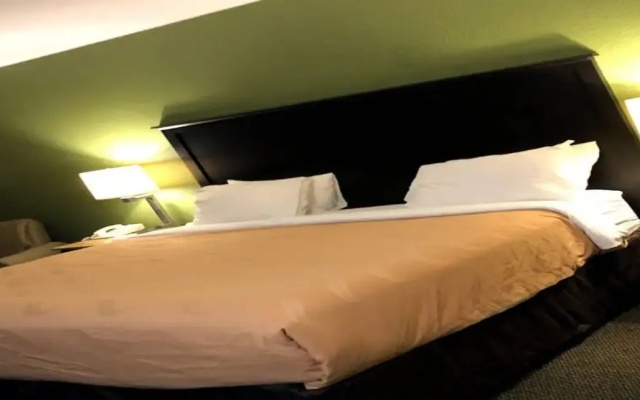 Econo Lodge Wesley Chapel I-75