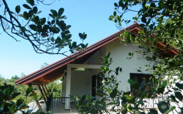 Birds Paradise Hotel