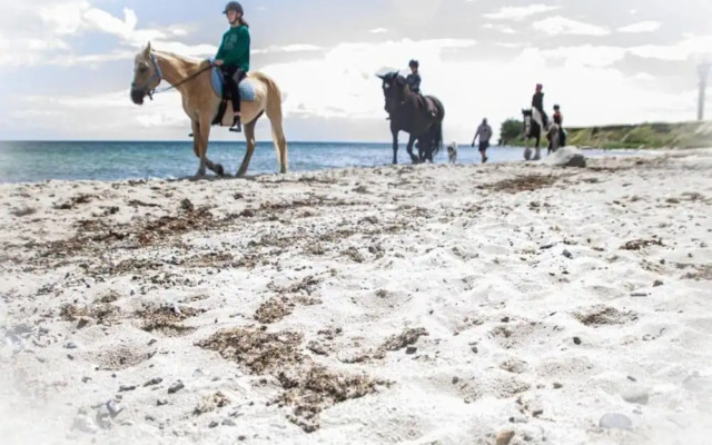 Coastal Escape on Fehmarn Island