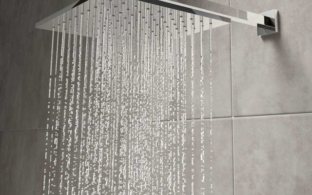 Downtown Park Suites