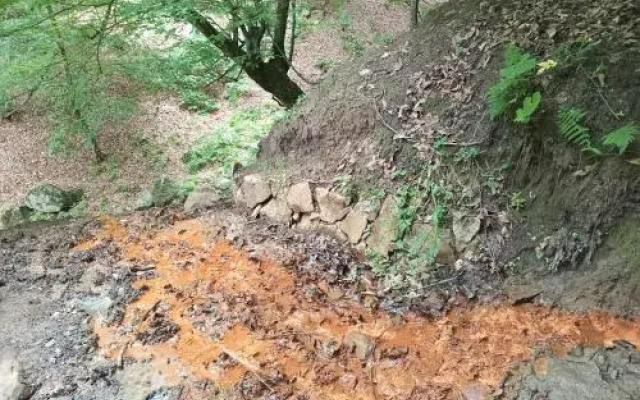 Rossi Rest House By The River