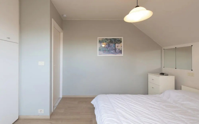 Spacious Apartment With Terrace