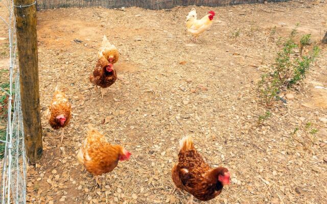 Reflexos d'Alma Turismo Rural