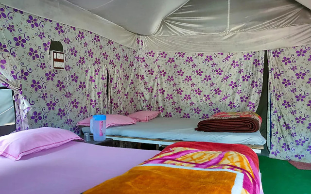 Camp in Rishikesh