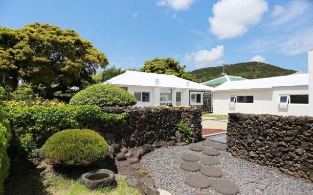 Soofeel House