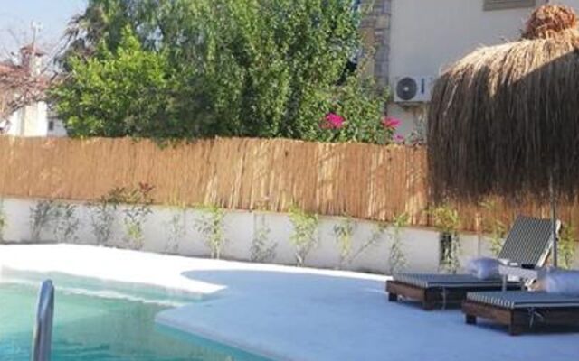 Sunny Garden