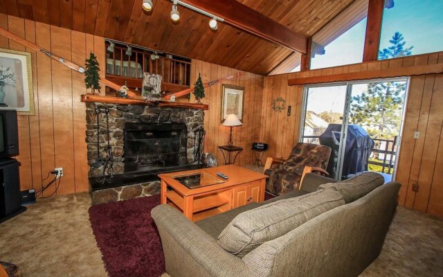 RedAwning Papa Bear #1493