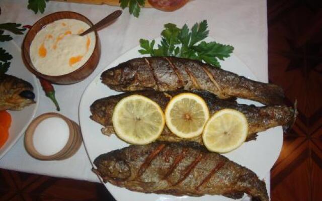 Pensiunea Vidra de Sus