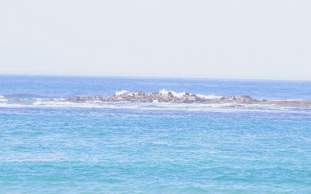 Rayville Boat Houses