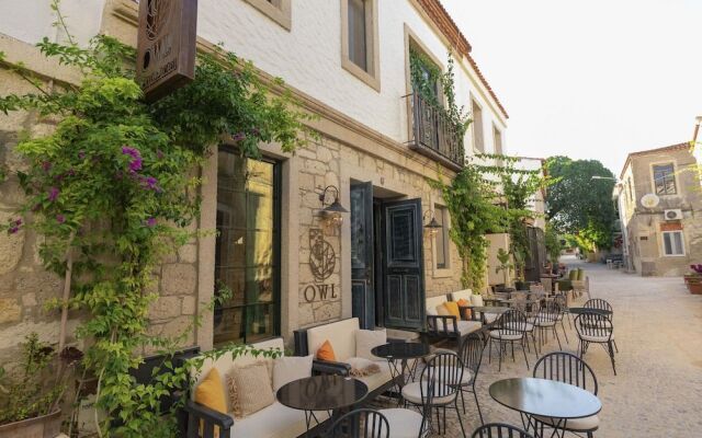 Owl Alacati