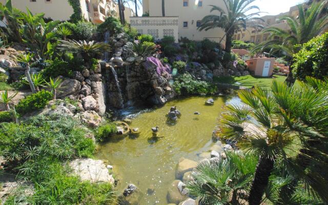 Doña Lola Macarena D CS100