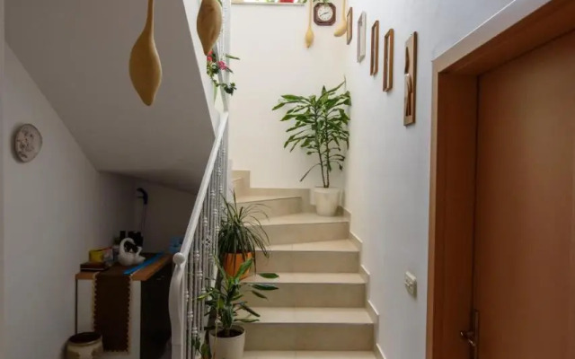 Šoda