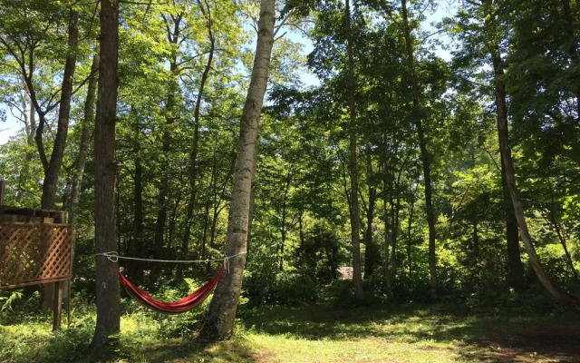 share&guesthouse HAKUBA SHARE - Hostel