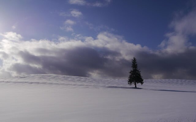 Shirogane Park Hills