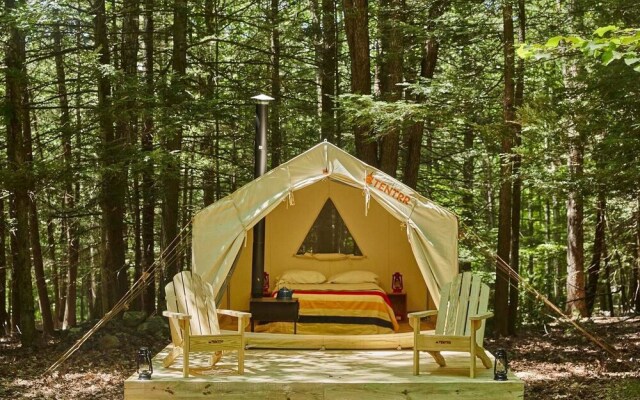 Tentrr - Little Bear