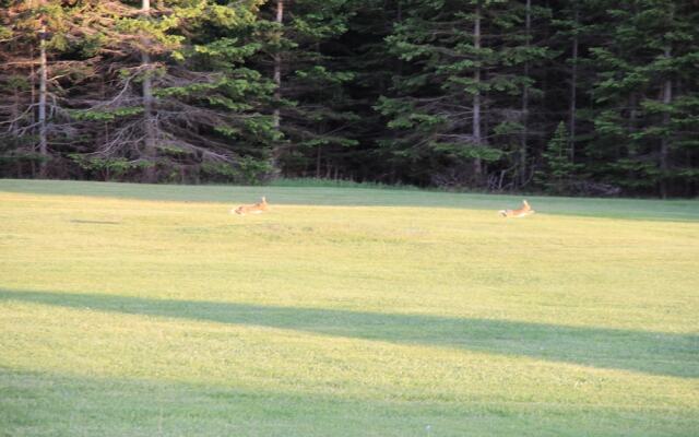 Rustico Acres Cottages