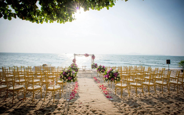 Birds and Bees Resort